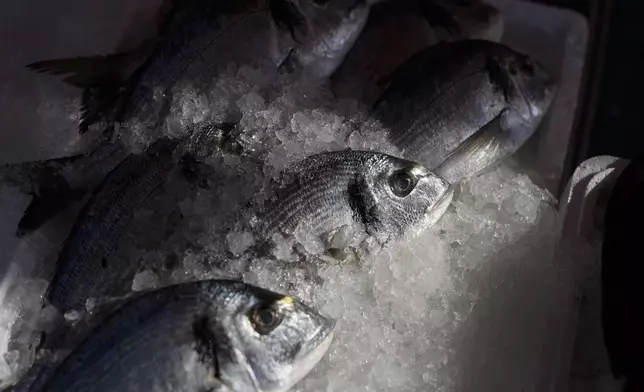 FILE - Fresh fish are packed in ice as they await purchase at a morning market in Nice, southern France, Friday, Feb. 11, 2022. (AP Photo/Daniel Cole, File)
