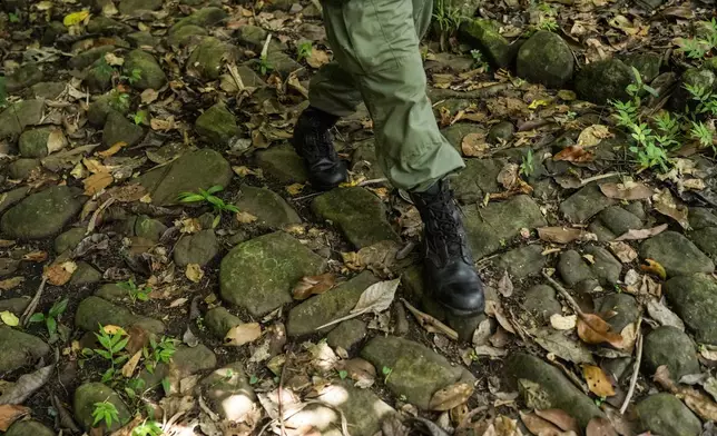 A park ranger walks along the "Camino de Cruces," a colonial stone road in Panama City built in the 16th century for mule trains carrying treasure across the isthmus from the Pacific to the Caribbean, Wednesday, Aug. 13, 2025. (AP Photo/Matias Delacroix)