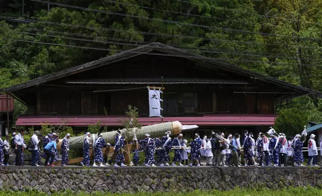 People pull a sacred timber of a cypress tree felled in the previous day's Misomahajimesai, an early ceremony of the Shikinen Sengu ritual to rebuild main structures of the Ise Jingu shrine for Shinto deities, during a procession in local celebrations in Agematsu, central Japan, Wednesday, June 4, 2025. (AP Photo/Hiro Komae)