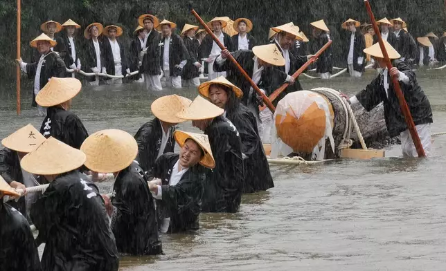 People carry a hinoki timber, Japanese cypress, into the Kotaijingu, also known as Naiku, or the inner sanctuary of the Ise Jingu shrine complex, during a festivity called Mihishirogi Hoeishiki in Ise, central Japan, Monday, June 9, 2025. (AP Photo/Hiro Komae)