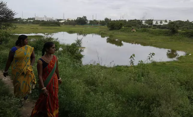 Women walk along the partly rejuvenated Bashettihalli Lake on the outskirts of Bengaluru, India, Monday, Aug. 25, 2025. (AP Photo/Aijaz Rahi)