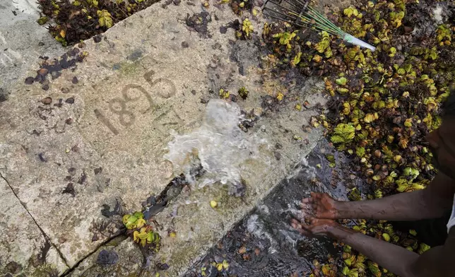 A laborer sprays water to reveal a marking that reads 1895, the year a wall was built at Doddajala Lake, on the outskirts of Bengaluru, India, Saturday, Aug. 23, 2025. (AP Photo/Aijaz Rahi)
