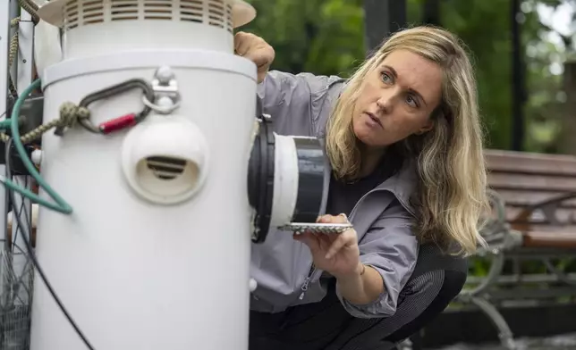 Astrid Andersson, a postdoctoral researcher at the University of Hong Kong, adjusts an artificial nest box for wild yellow-crested cockatoos in Victoria Park in Hong Kong, on Aug. 18, 2025. (AP Photo/Chan Long Hei)