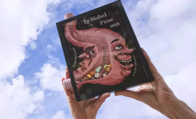 An 2025 Ig Nobel award, one of many that will be awarded by the Annals of Improbable Research magazine for silly sounding scientific discoveries that often have surprisingly practical applications, is displayed, Wednesday, Sept. 17, 2025, in Boston. (AP Photo/Charles Krupa)