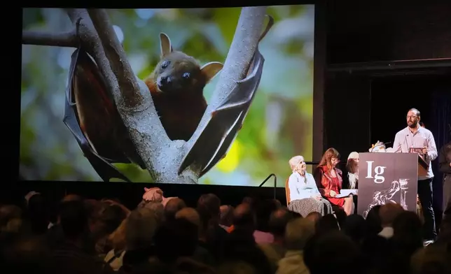 The Ig Nobel Prize for aviation is accepted by Francisco Sanchez for studying whether ingesting alcohol can impair bats' ability to fly, Thursday, Sept. 18, 2025, in Boston. (AP Photo/Robert F. Bukaty)