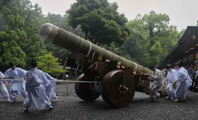 Shinto officials in the priesthood pull a sacred timber on a wheeled platform into a position before unloading and moving it under the roof at the end of Mihishirogi Hoeishiki, a ceremony of the Shikinen Sengu ritual to rebuild main structures of the Jingu shrine complex for Shinto deities, at Toyoukedaijingu, also known as Geku, or the outer sanctuary of Jingu, in Ise, central Japan, Tuesday, June 10, 2025, after the cypress timbers were transported from Nagano prefecture's Kiso region to the city. (AP Photo/Hiro Komae)