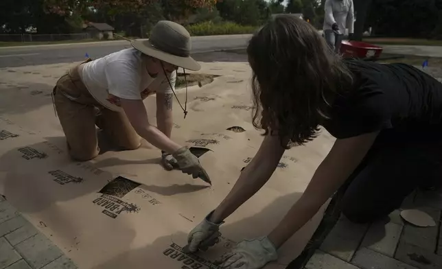 Homeowner Lena Astilli cuts holes in a weed barrier atop her dead grass where native seedlings will be planted Thursday, Aug. 28, 2025, in Littleton, Colo. (AP Photo/Brittany Peterson)