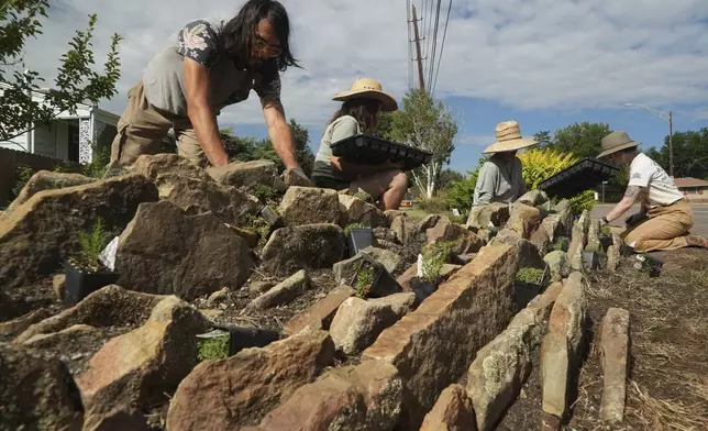 Greg Gorskiy plants a crevice garden Thursday, Aug. 28, 2025, in Littleton, Colo. (AP Photo/Brittany Peterson)