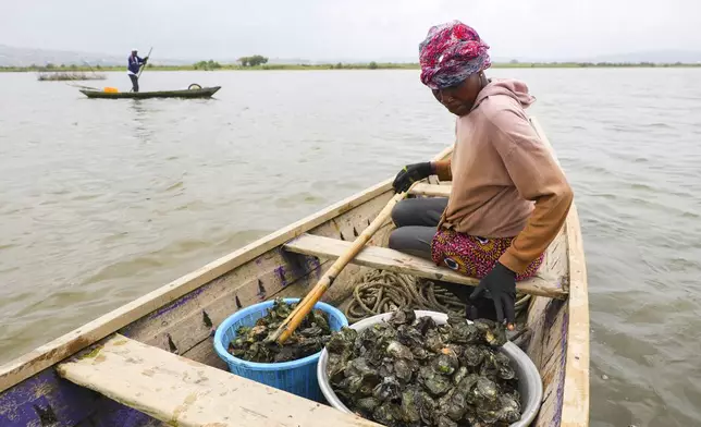 Beatrice Nutekpor sits in a canoe filled with freshly harvested oysters in the Densu estuary at Tsokomey, Ghana, Aug. 6, 2025. (AP Photo/Misper Apawu)