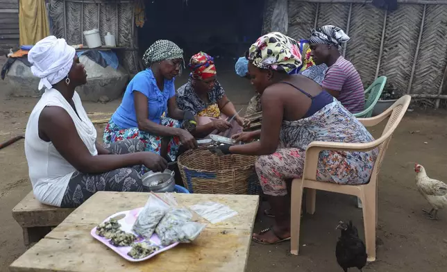 Women prepare freshly cooked oysters in Tsokomey, Ghana, Aug. 6, 2025. (AP Photo/Misper Apawu)