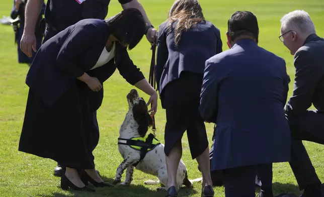 Britain's Home Secretary Shabana Mahmood, left, and United States Homeland Security Secretary Kristi Noem, center, pet a dog during the Five Country Ministerial meeting at the Honourable Artillery Company in London, Monday, Sept. 8, 2025. (AP Photo/Kin Cheung)