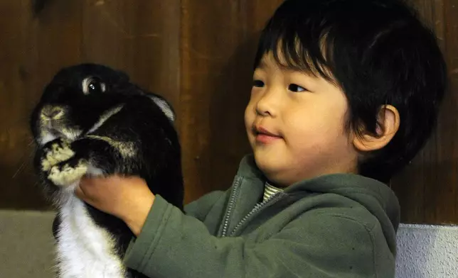 FILE - Japan's Prince Hisahito, 3, smiles as he holds a rabbit during his visit to Ueno Zoo in Tokyo, Japan, with his parents Prince Akishino and Princess Kiko Monday, Oct. 26, 2009. (AP Photo/Shuji Kajiyama, File)
