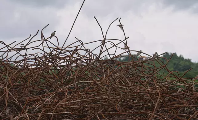 Birds sit on debris of Ottara Thiri Hospital that was damaged in the March 28 earthquake in Naypyitaw, Myanmar, Tuesday, Aug. 26, 2025. (AP Photo/Aung Shine Oo)