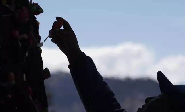 A woman places a lollipop in a tree that was struck by lightning years ago and has since been considered sacred, at the General Cemetery in La Paz, Bolivia, Sunday, Aug. 31, 2025. (AP Photo/Juan Karita)