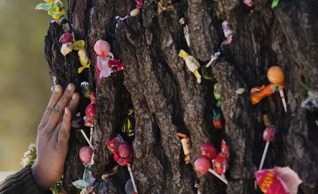 A woman prays at a tree that was struck by lightning years ago and has since been considered sacred, at the General Cemetery in La Paz, Bolivia, Sunday, Aug. 31, 2025. (AP Photo/Juan Karita)