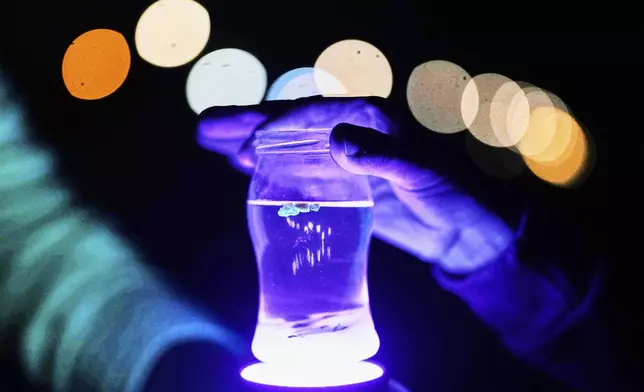 Participants hold a glass of salt water and a black light lamp in their hands to examine amber during a guided amber hunt for tourists on the beach of the Baltic Sea resort of Dahme, Germany, Tuesday, Sept. 2, 2025. (AP Photo/Markus Schreiber)