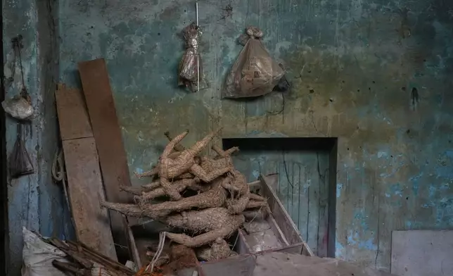 Discarded hay models used as the base layer for creating idols of Hindu deities are kept aside ahead of the Durga Puja festival in New Delhi, India, Saturday, Sept. 20, 2025. (AP Photo/Manish Swarup)