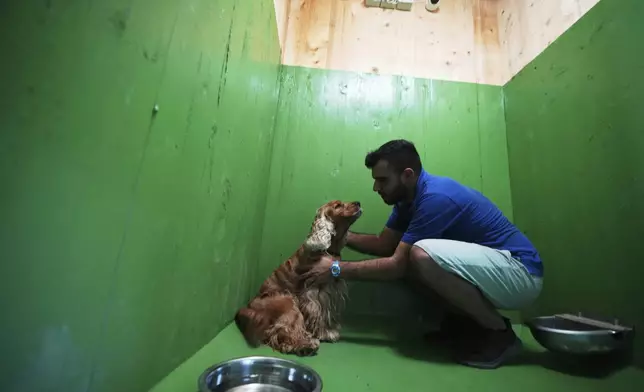 Manolo Fiorenzi, a dog trainer, caresses Otto, an old a cocker dog in one of the rooms of the Dog Relais, a hotel for dogs at Rome's Fiumicino International Airport, Wednesday, Sept. 17, 2025. (AP Photo/Alessandra Tarantino)
