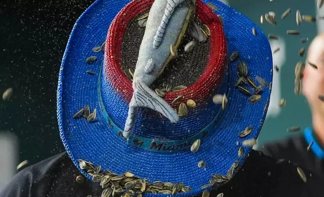 FILE - Miami Marlins' Otto Lopez, not visible, throws sunflower seeds on teammate Connor Norby while being greeted in the dugout after hitting a solo home run off Texas Rangers pitcher Jack Leiter during the sixth inning of a baseball game Saturday, Sept. 20, 2025, in Arlington, Texas. (AP Photo/Julio Cortez)