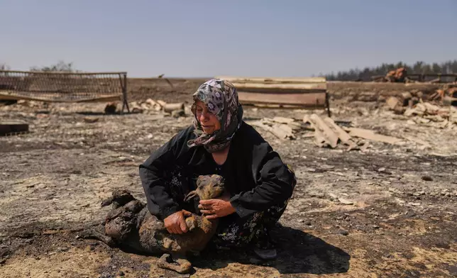 Local farmer Turkan Ozkan, 64, cries next to one of her animals killed during a fire in Guzelyeli, on the outskirts of Canakkale, northwest Turkey, Aug. 12, 2025. (AP Photo/Khalil Hamra)