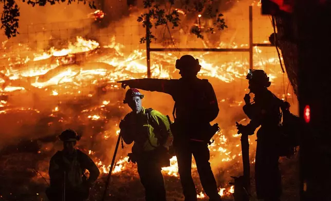 Firefighters battle the Pickett Fire in the Aetna Springs area of Napa County, California, Aug. 23, 2025. (AP Photo/Noah Berger)