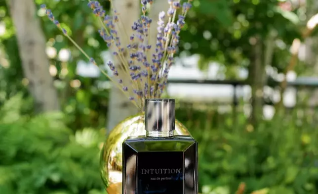 Intuition by ARAMIS Pop-Up at The High Line (Courtesy of BFA )