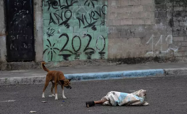 FILE PHOTO GALLERY - The legs of a dismembered man protrude from a bag on a street where dogs roam in the Colinas de La Florida neighborhood of Guayaquil, Ecuador, Oct. 1, 2023. The legs laid there for hours before being picked up by authorities and the rest of the man's body parts were found scattered a few blocks away. (AP Photo/Rodrigo Abd)