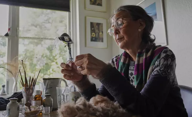 66-year-old retiree Kirstine Berthelsen prepares wool for sewing at her home in northern Copenhagen, Denmark, Sept. 17, 2025. (AP Photo/James Brooks)