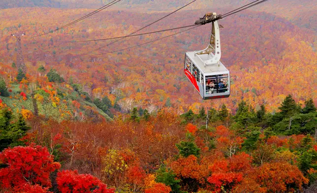 Autumn Foliage Journey in Tohoku, Japan: Must-See Scenic Spots to Visit in October