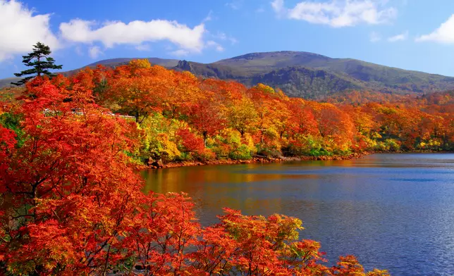 Autumn Foliage Journey in Tohoku, Japan: Must-See Scenic Spots to Visit in October