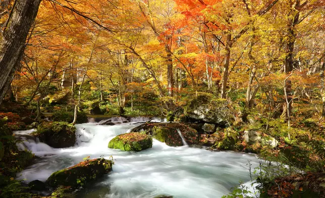 Autumn Foliage Journey in Tohoku, Japan: Must-See Scenic Spots to Visit in October