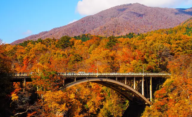 Autumn Foliage Journey in Tohoku, Japan: Must-See Scenic Spots to Visit in October