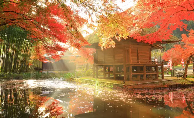 Autumn Foliage Journey in Tohoku, Japan: Must-See Scenic Spots to Visit in October