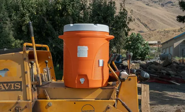 A water jug for farmworkers sits at an orchard in Naches, Wash., Thursday, Aug. 28, 2025. (AP Photo/Annika Hammerschlag)
