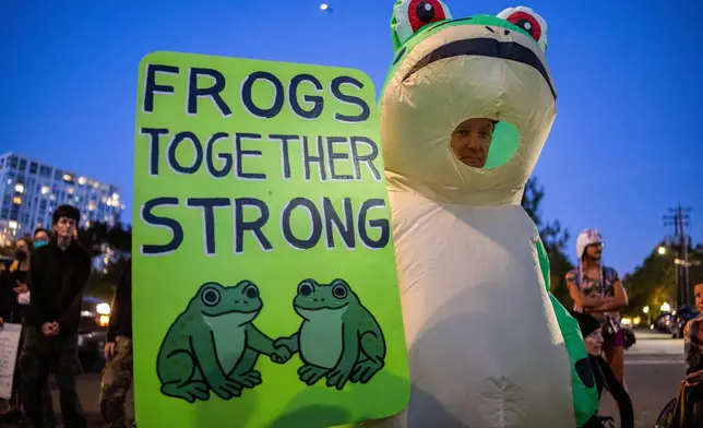 A demonstrator wearing a frog costume stands outside a U.S. Immigration and Customs Enforcement facility on Tuesday, Oct. 7, 2025, in Portland, Ore. (AP Photo/Ethan Swope)