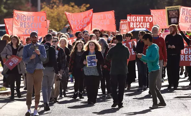 Animal welfare activist Zoe Rosenberg leads a protest march to the Sonoma County Sheriff's Office in Santa Rosa, Nov. 30, 2023. (Chad Surmick/The Press Democrat via AP)