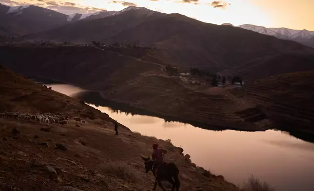 Shepherds return home at the end of the day with their flock in the mountains of Ha Lejone, Lesotho, July 14, 2025. (AP Photo/Bram Janssen)