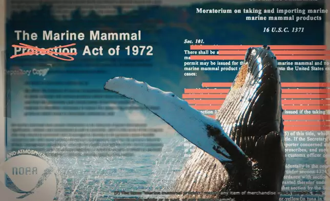 AP illustration Marshall Ritzel