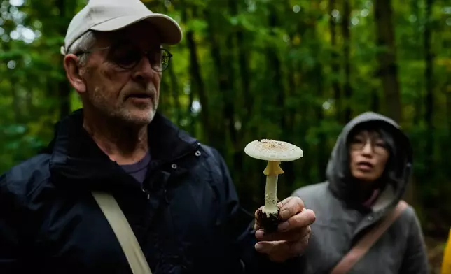 Wolfgang Bivour 75, a mushroom hunting tour leader, instructs mushroom pickers on how to hunt mushrooms in a forest in Potsdam, Germany, Wednesday, Oct. 8, 2025. (AP Photo/Ebrahim Noroozi)