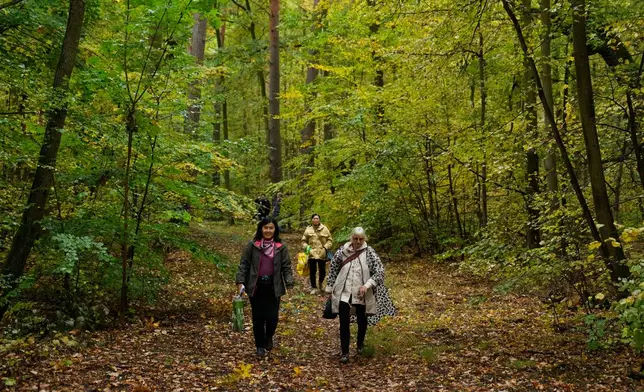 Mushroom hunters and pickers move through a forest looking for mushrooms in Potsdam, Germany, Wednesday, Oct. 8, 2025. (AP Photo/Ebrahim Noroozi)