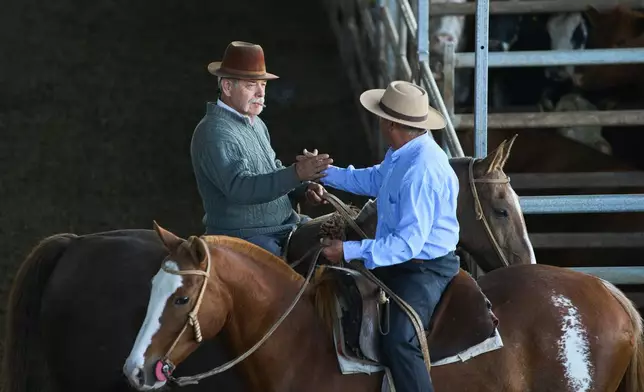 Handlers shake hands at the livestock market in Canuelas, Argentina's main cattle trading hub, Tuesday, Oct. 21, 2025. (AP Photo/Rodrigo Abd)