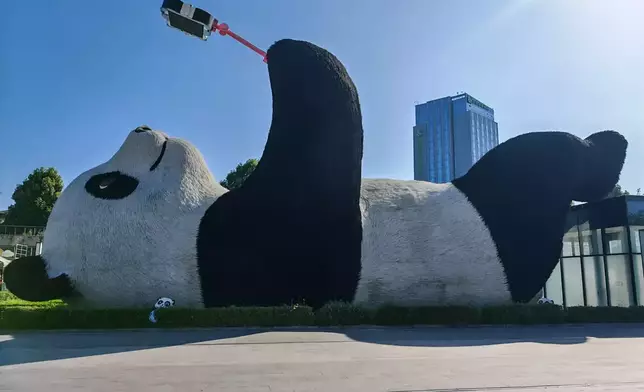 "Selfie-Panda", by Bastillepost.