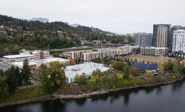 U.S. Immigration and Customs Enforcement facility, third from water at left, is seen on Thursday, Oct. 9, 2025, in Portland, Ore. (AP Photo/Jenny Kane)