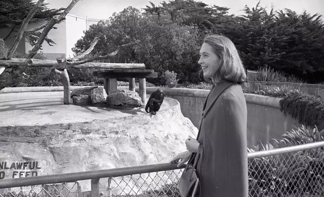 Jane Goodall photographed next to a chimp enclosure on Nov. 20, 1970, in San Francisco. (San Francisco Chronicle via AP)