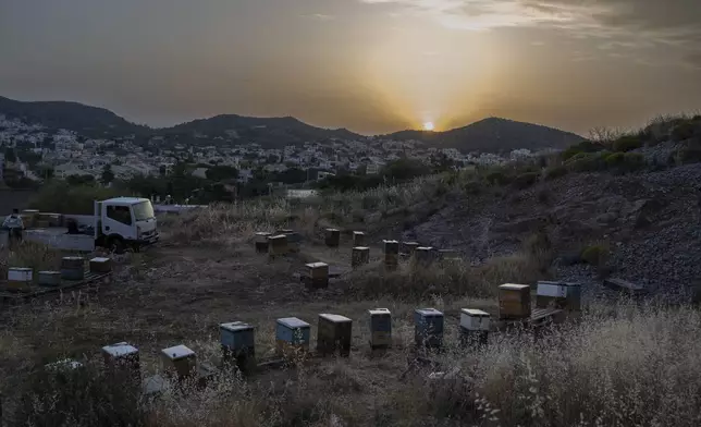 A view of an apiary is pictured as the sun sets, before a late-night beehive transfer to an urban area in the Varkiza suburb of southern Athens, Greece, May 6, 2025. (AP Photo/Michael Varaklas)
