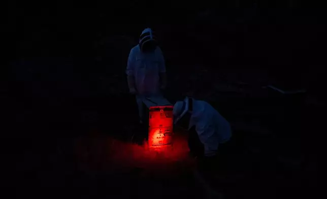 Grigoris Melas, background, and Nikos Chadjilias prepare a beehive for late-night transfer to an urban area in the Varkiza suburb of southern Athens, Greece, May 6, 2025. (AP Photo/Michael Varaklas)