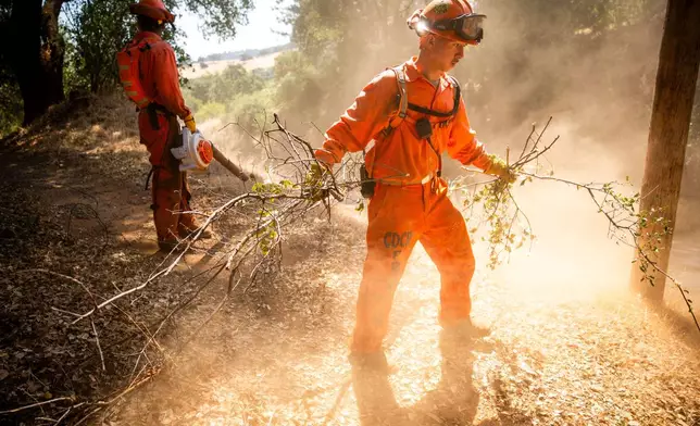 Pine Grove Youth Conservation Camp inmates clear brush along a road, July 14, 2025, near Red Corral, Calif. (AP Photo/Ethan Swope)