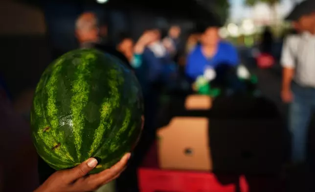 Watermelons are handed out to people waiting in line at a food pantry which provides assistance to anyone in need, including some migrants who have had their legal protections and work permits terminated, Friday, Aug. 22, 2025, in Orlando, Fla. (AP Photo/Rebecca Blackwell)