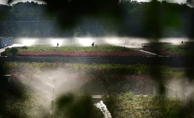 A worker walks past irrigation sprinklers watering flowers and plants in a nursery in Apopka, Fla., where migrants often find work in the agricultural sector, Thursday, Aug. 21, 2025. (AP Photo/Rebecca Blackwell)