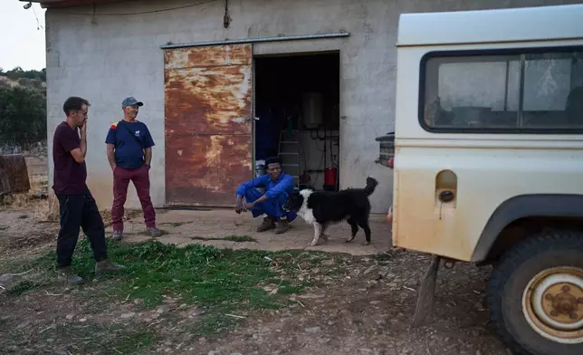 Shepherds Álvaro Esteban, left, Javi Esteban, center, and Osam Abdulmumen pause after milking a flock of sheep in Los Cortijos, central Spain, Tuesday, Oct. 7, 2025. (AP Photo/Bernat Armangue)